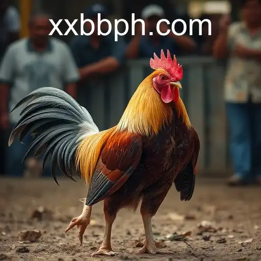 Cockfighting: A Controversial Tradition with Deep-Rooted Cultural Significance